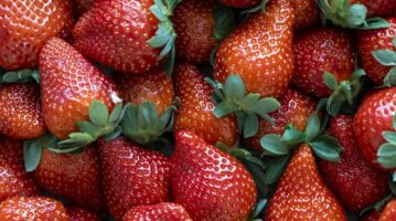 strawberrys photo of strawberrys
